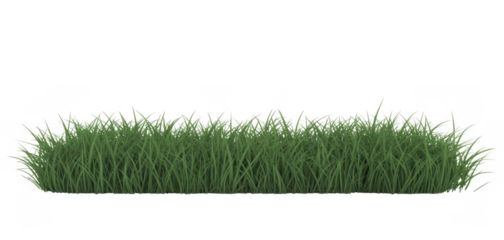 Green grass patch isolated on a transparent background