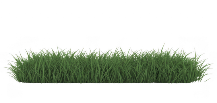 Green grass patch isolated on a transparent background