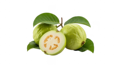 Green Guavas with Leaves isolated on a transparent background