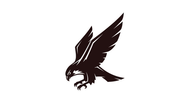 Soaring hawk silhouette on white background for design elements