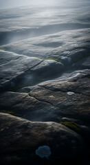 Close-up of textured rock formations with moss and soft light