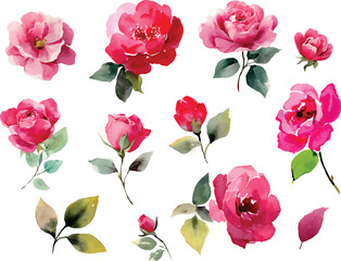 seamless pattern with pink roses