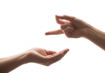 Two human hands gesturing and communicating with each other isolated on transparent background