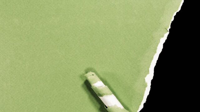 paper ripped wrinkled effect transition collection with alpha channel