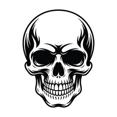 Fototapeta premium Detailed vector illustration of a human skull isolated on, showcasing intricate bone structure and dark eye sockets, perfect for gothic or medical themes