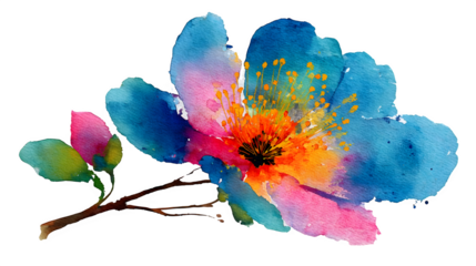 Watercolor floral bloom, isolated on transparent background