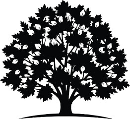 Silhouette of a large deciduous tree with full foliage