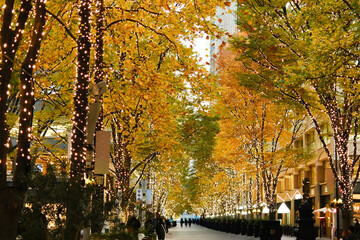 街中の銀杏並木のイルミネーション