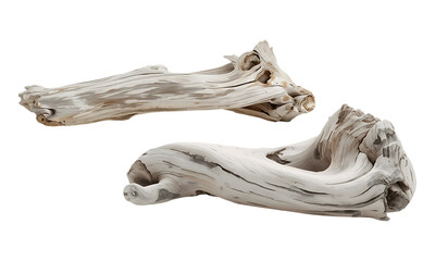 Two sculpted white driftwood pieces, weathered natural textures