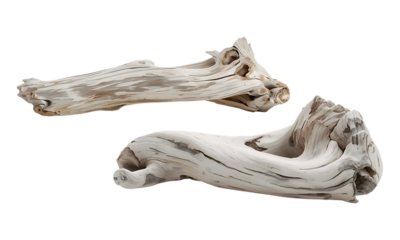 Two sculpted white driftwood pieces, weathered natural textures