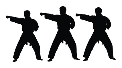 Karate punch silhouette isolated on white background, Vector