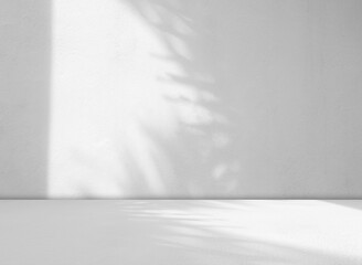 Fototapeta premium rey wall shadow background kitchen floor white abstract studio concrete table white texture light texture mockup product marble room display plant cement minimal shelft bar leaves backdrop