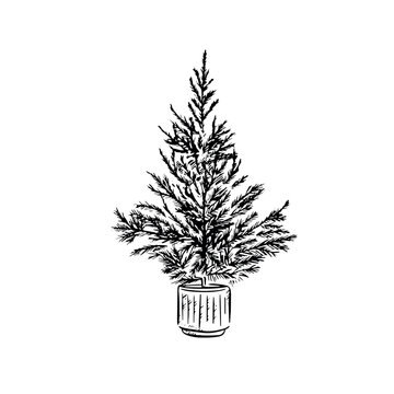 A small Christmas tree in a ceramic pot.