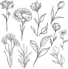 flower line drawing
