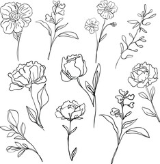 flower line drawing