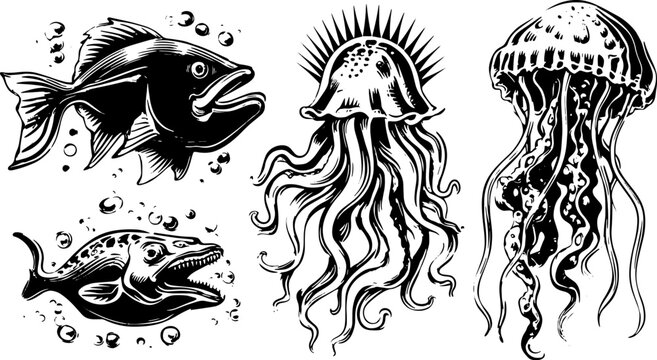 Vector illustration set of fish and jellyfish in an antique style. This design features black outlines of aquatic creatures with bubbles in a vintage engraving format.
