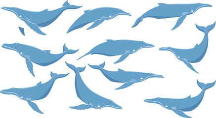 Blue whale vector, cartoon marine animals, swimming poses, ocean creatures, stylized design, aquatic life, sea illustration, graceful motion, flat icons, nature art