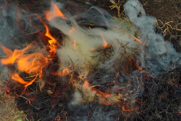 Vibrant orange flames engulfing dry brush and producing thick smoke, a powerful visual of burning debris and potential danger, highlighting environmental impact