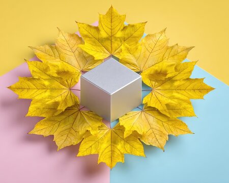 Autumnal Display Cube With Yellow Leaves