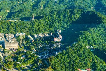 Aerial view of lush green forest and buildings