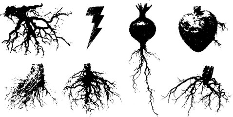 Root illustrations in black silhouette. Vector graphics showing different forms and textures in a set focused on root systems in nature and agriculture.