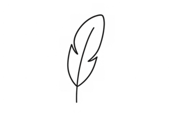 Feather icon vector drawing representing lightness, freedom, creativity, and writing, simple black line art