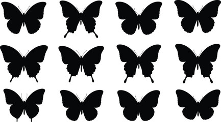 Fototapeta premium Butterfly silhouettes collection, insect icons, flying butterfly shapes, black vector design, nature elements, decorative insects, isolated wings, moth and butterfly set
