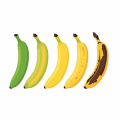 Five bananas displaying stages of ripening, from green to brown, isolated.