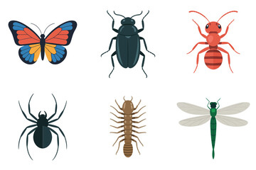 Entomology insect icons, detailed butterfly, beetle, ant, spider, centipede, dragonfly, biological study flat vector set.