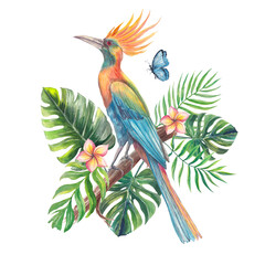 Watercolor illustration of a Paradisaeidae surrounded by tropical leaves and vibrant flowers. Hand-painted exotic composition perfect for summer designs, prints, packaging, and botanical projects.

