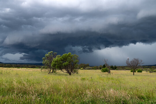 A dangerous storm approaching across a grassy paddock with trees and birds