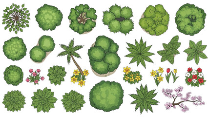 Top view vector collection of assorted trees and plants for garden or park landscape design