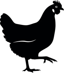 Black silhouette of a chicken walking, a common farm bird, isolated on