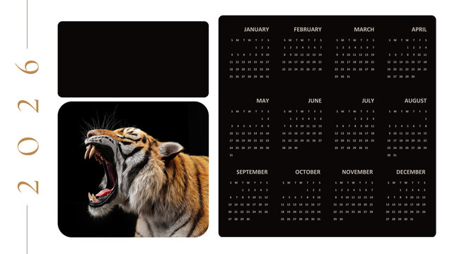 2026 wildlife wall calendar featuring roaring tiger on black background, bold animal theme, clean annual grid layout and modern design.