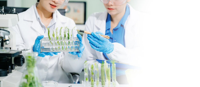 Scientist in a modern lab analyzing food samples with advanced equipment. Perfect for food science, research in  in food science and biotechnology