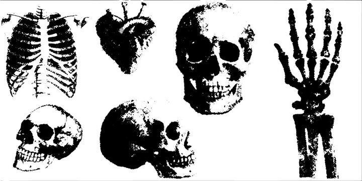 Skull, heart, and skeleton in black and white. Anatomical vector illustration set for educational and medical purposes.