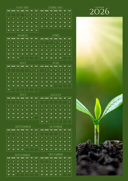 2026 yearly wall calendar with green eco theme, young plant seedling photo, clean monthly grid layout, and printable planner design.