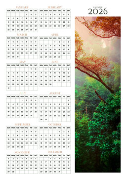 2026 yearly wall calendar with lush forest nature photo, clean minimal monthly grid layout, printable planner and eco-themed design.
