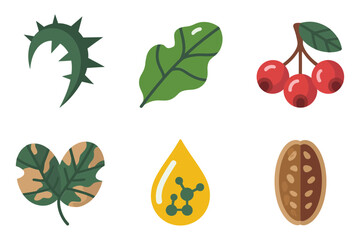 Tropical foliage and fruit set, serrated leaf shapes, glossy leaves, cherry branch, botanical elements, natural design vector
