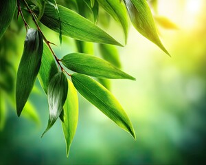 Fresh Green Leaves In Sunlight