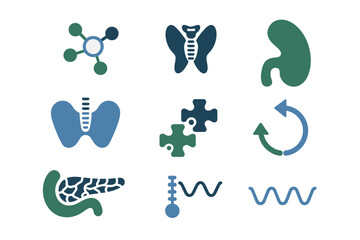 Endocrine and metabolic organs icons, spleen pancreas lymph, molecular shapes, medical puzzle piece, biology research vector set.