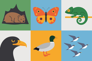 Zoology animals set, detailed chameleon, butterfly, hedgehog, eagle, seagull birds, nature study vector pack.