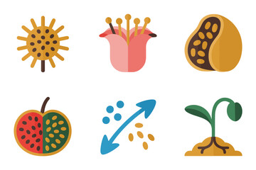Botany icons, detailed flower bud, seed pod, sprout growth arrow, fruit, plant science vector set.