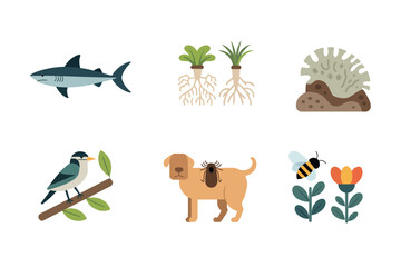 Zoology ecosystem icons, detailed shark, roots, hedgehog, dog, bird, flower, animal biology flat vector set.