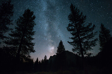 Milky Way over silhouette of trees and mountains