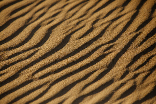 Sand patterns in warm afternoon light
