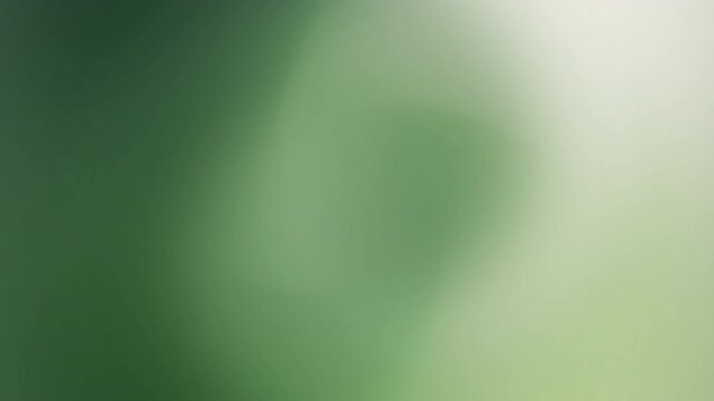 Blurry background of shades of green and white