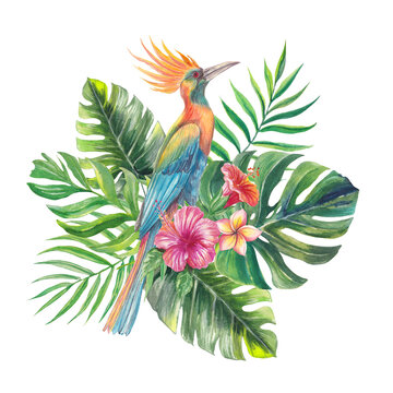 Watercolor illustration of a bird of paradise surrounded by tropical leaves and vibrant flowers. Hand-painted exotic composition perfect for summer designs, prints, packaging, and bota