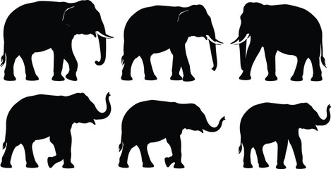 Elephant silhouettes, animal shapes, wildlife illustration, elephant poses, safari design, vector elephants, black silhouettes, elephant artwork, animal movement, creative design