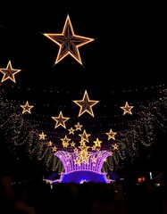 christmas star on a dark background